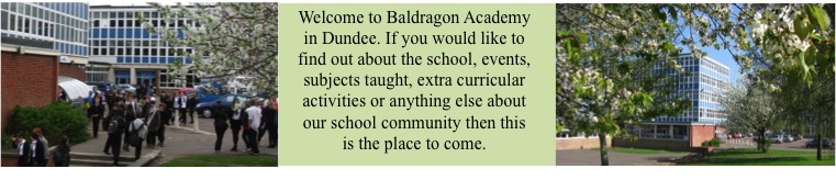 Welcome to Baldragon Academy